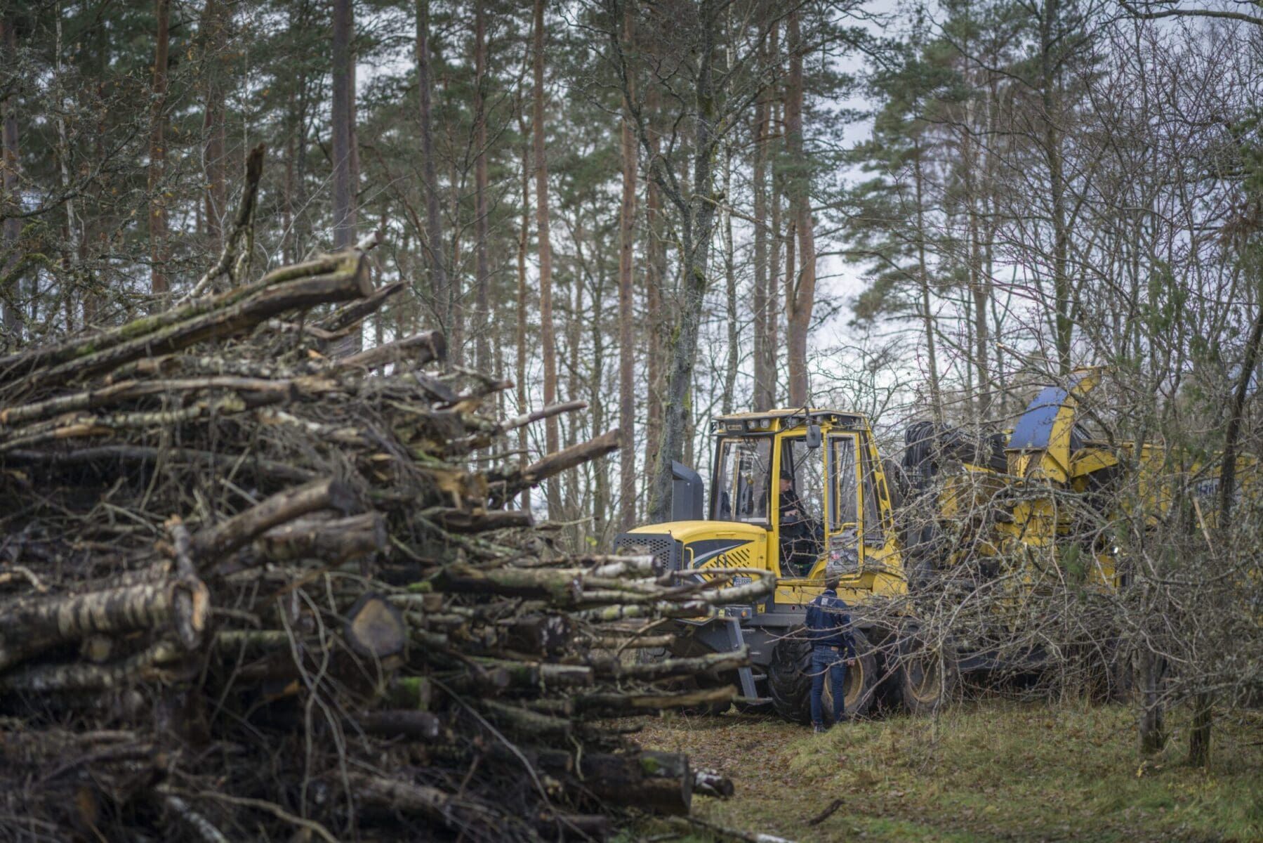 Skogsmaskin som hanterar biobränsle