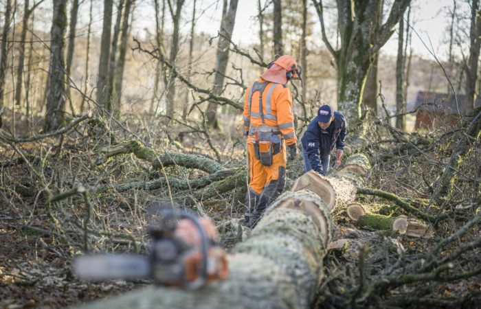 Vi söker Skogsentreprenörer i Skåne