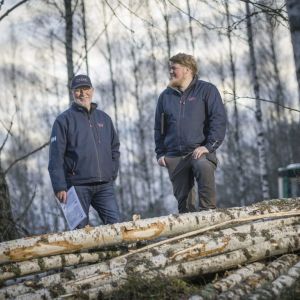 Virkesinköpare i skogen vid en trave björkstockar.